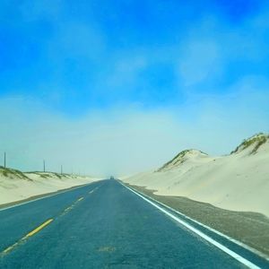 Meet your Posher, Thelma